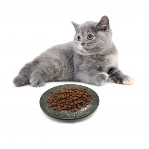 How to tell if cat food is spoiled