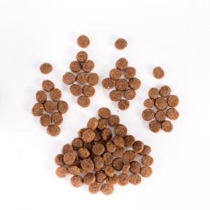 Can Dogs Eat Cat Food?