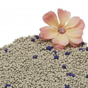 Bentonite Cat Litter Supplier