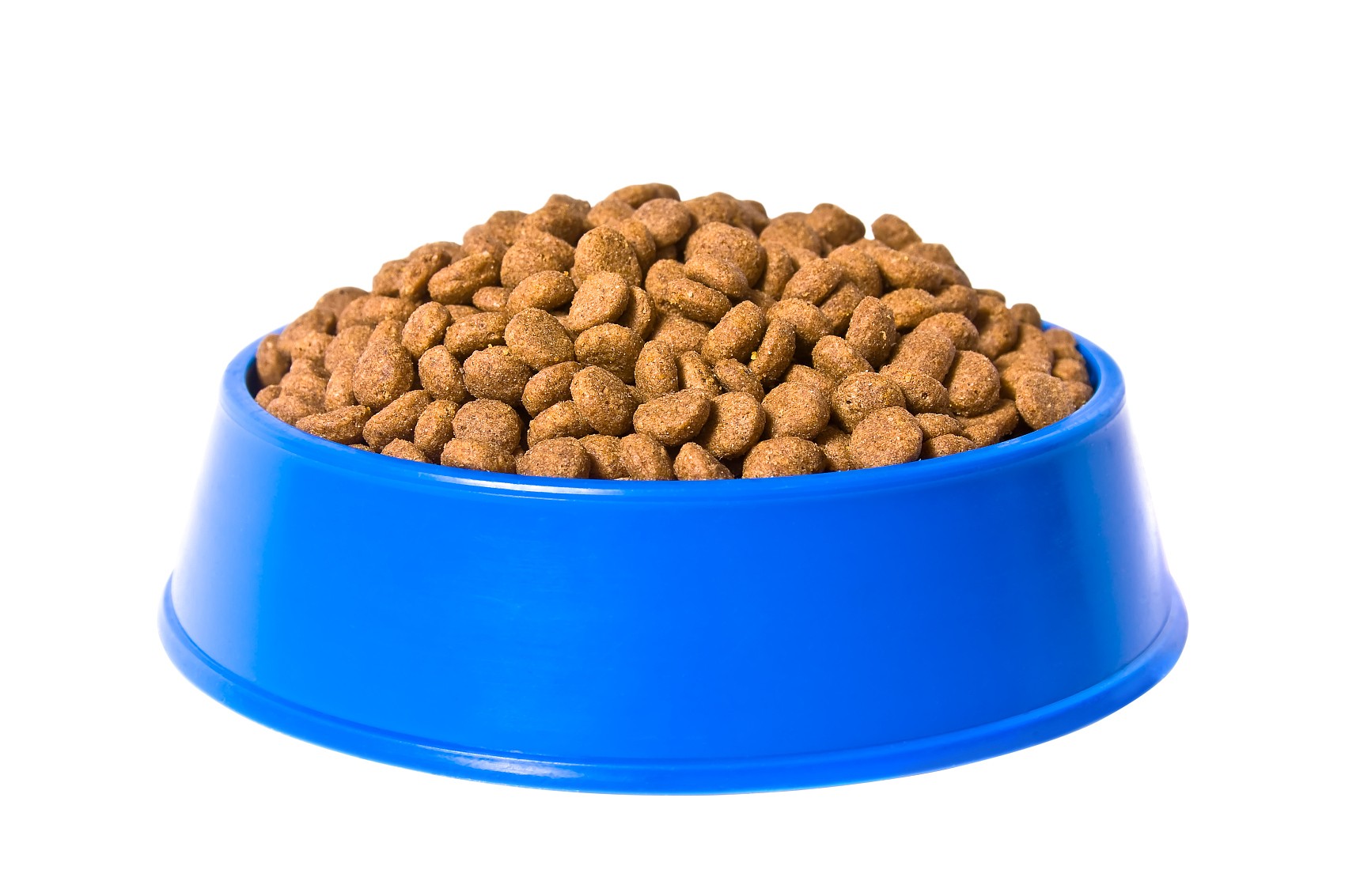 Grain-free dry cat food wholesale