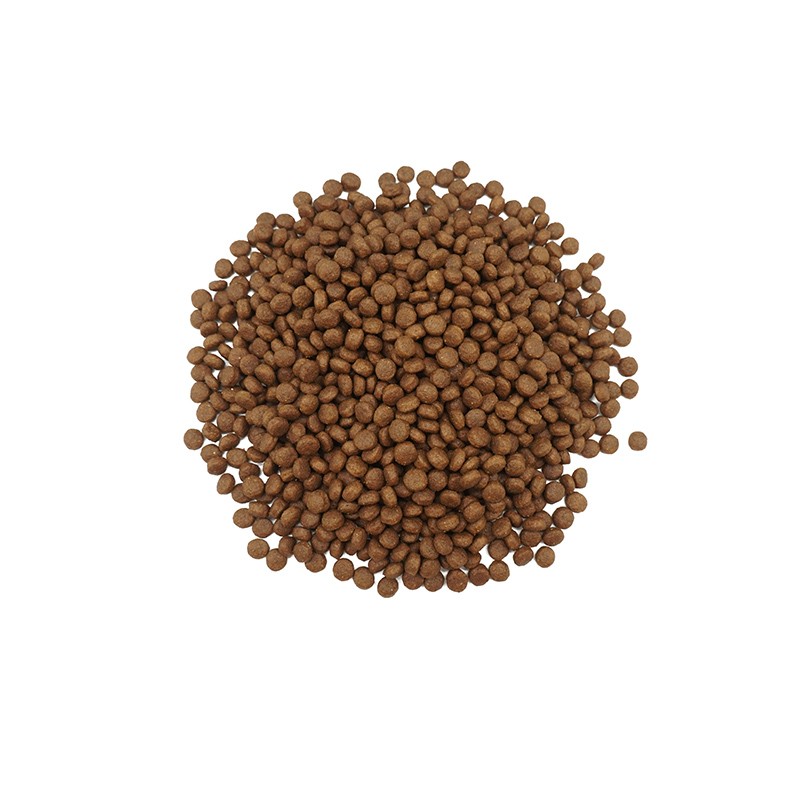 Dry Dog Food Bulk