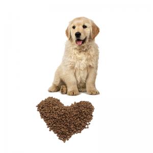 Natural & Human-Grade Dry Dog Foods 