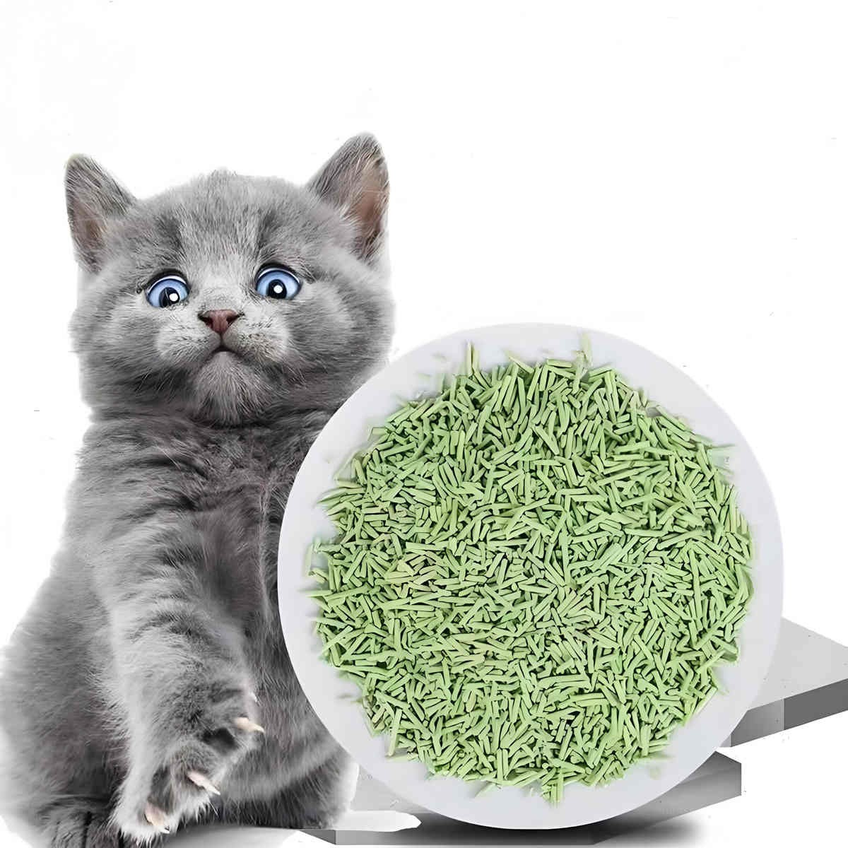 Green Tea Tofu Cat Litter  